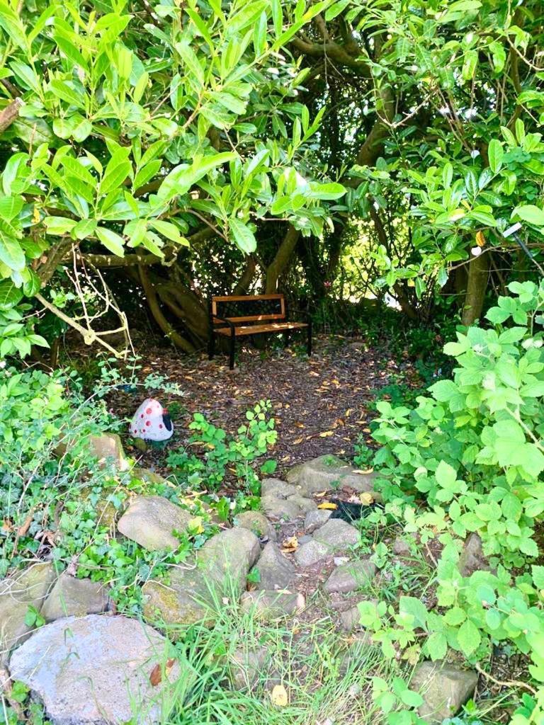 Quiet Farm Cottage Enniskillen Fermanagh Extérieur photo